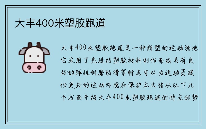 大丰400米塑胶跑道