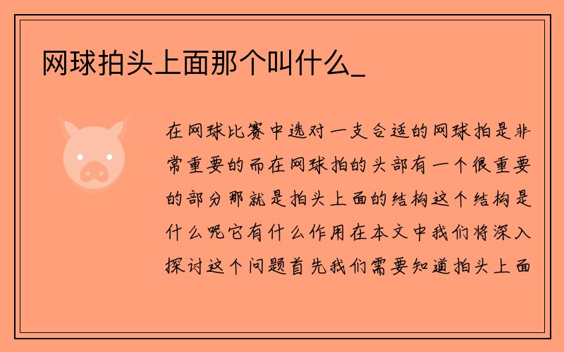 网球拍头上面那个叫什么_