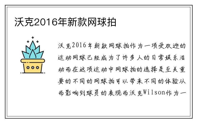 沃克2016年新款网球拍