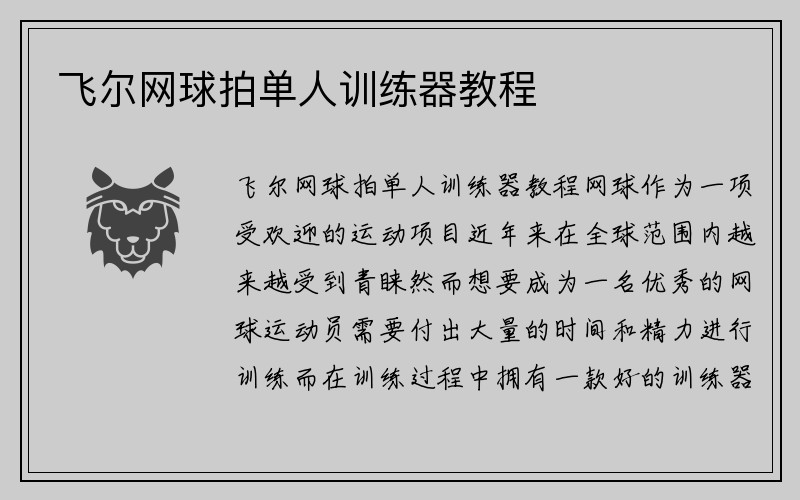 飞尔网球拍单人训练器教程