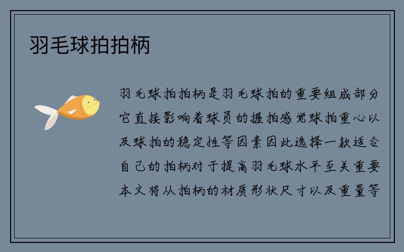 羽毛球拍拍柄