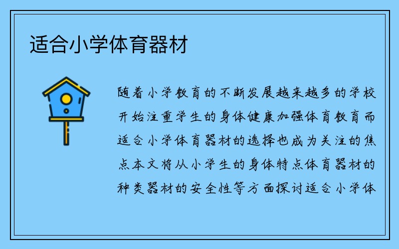 适合小学体育器材