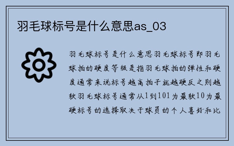 羽毛球标号是什么意思as_03